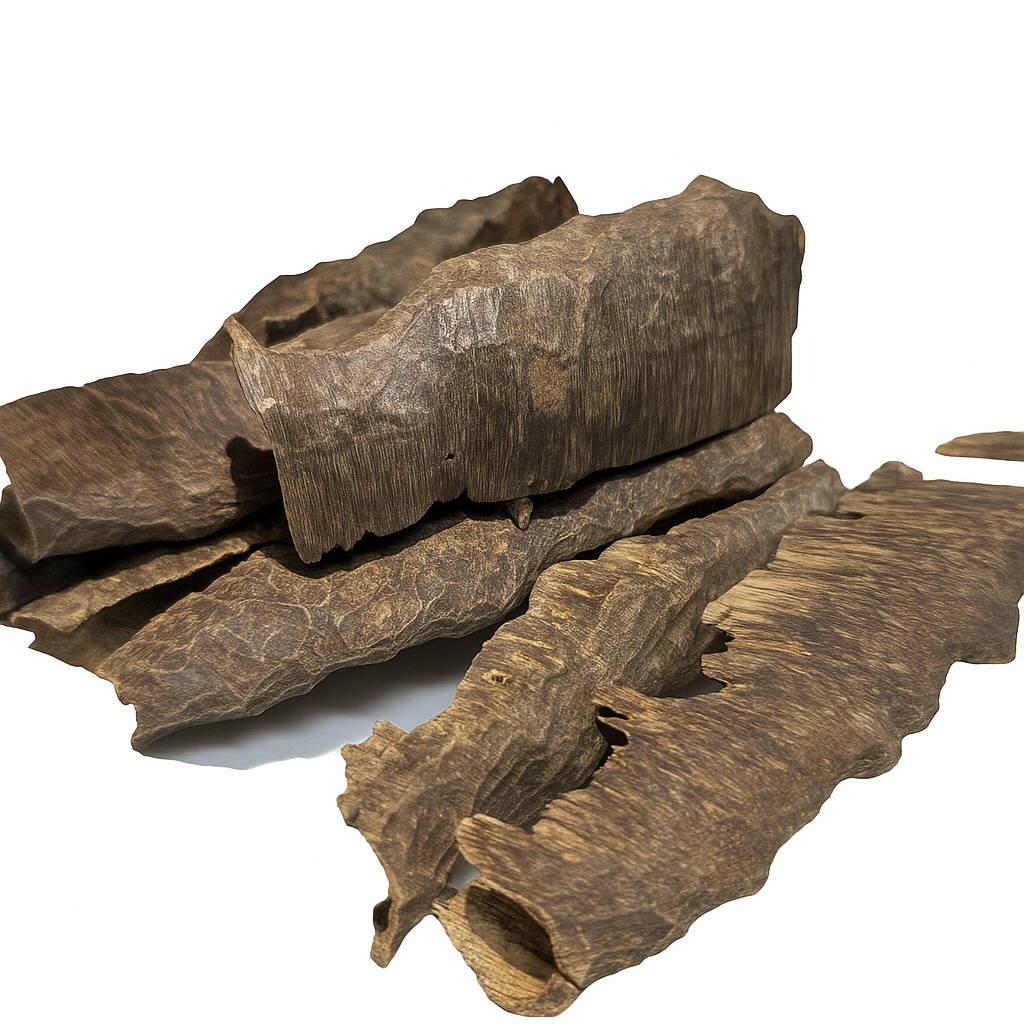 زوايا هندي منيبور