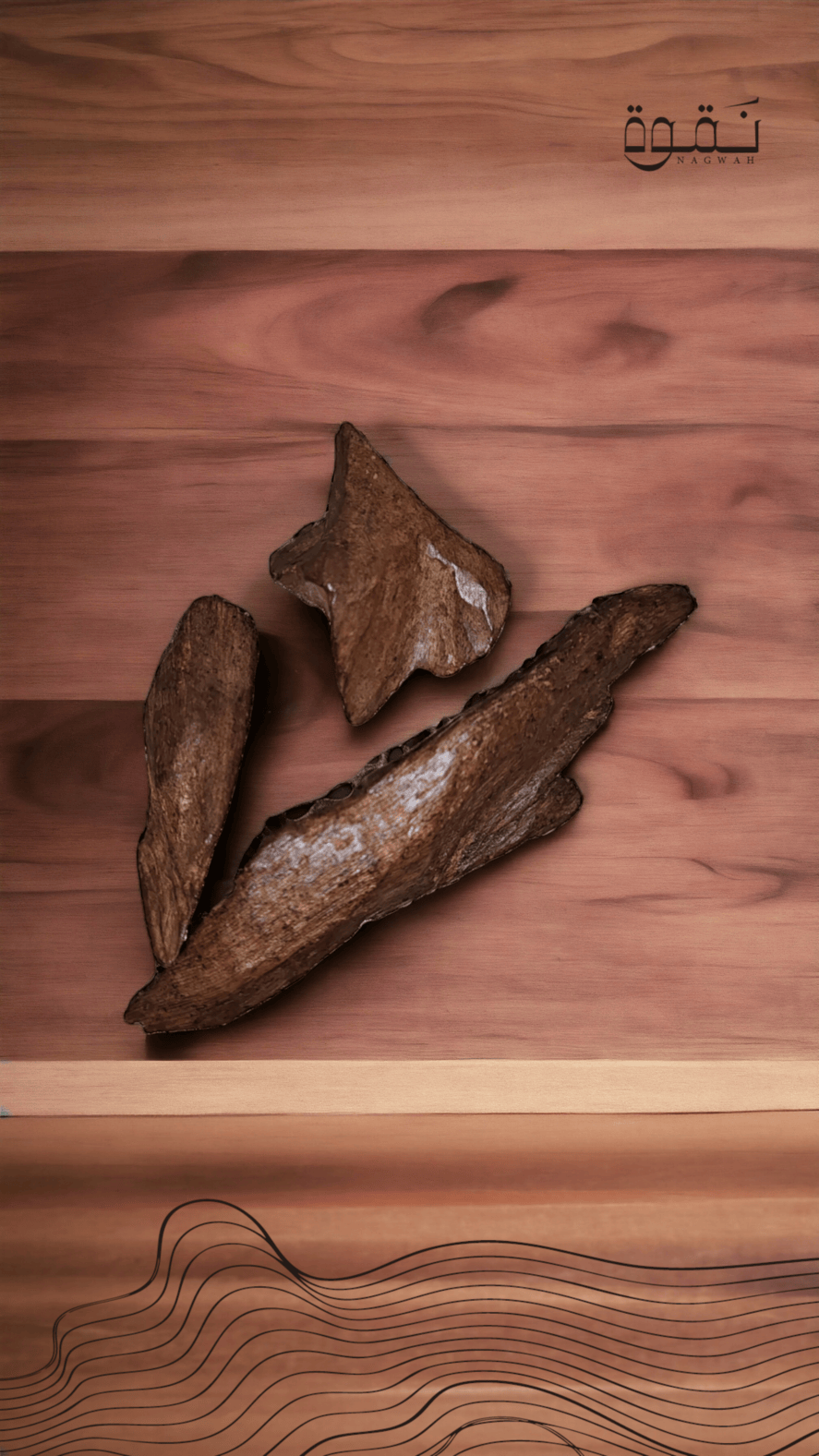 موروكي إندونيسي